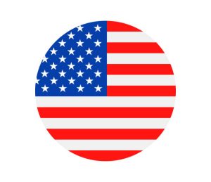 American flag icon